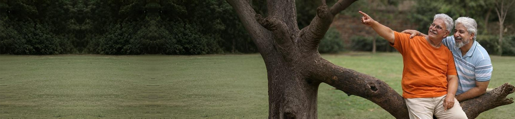 banner